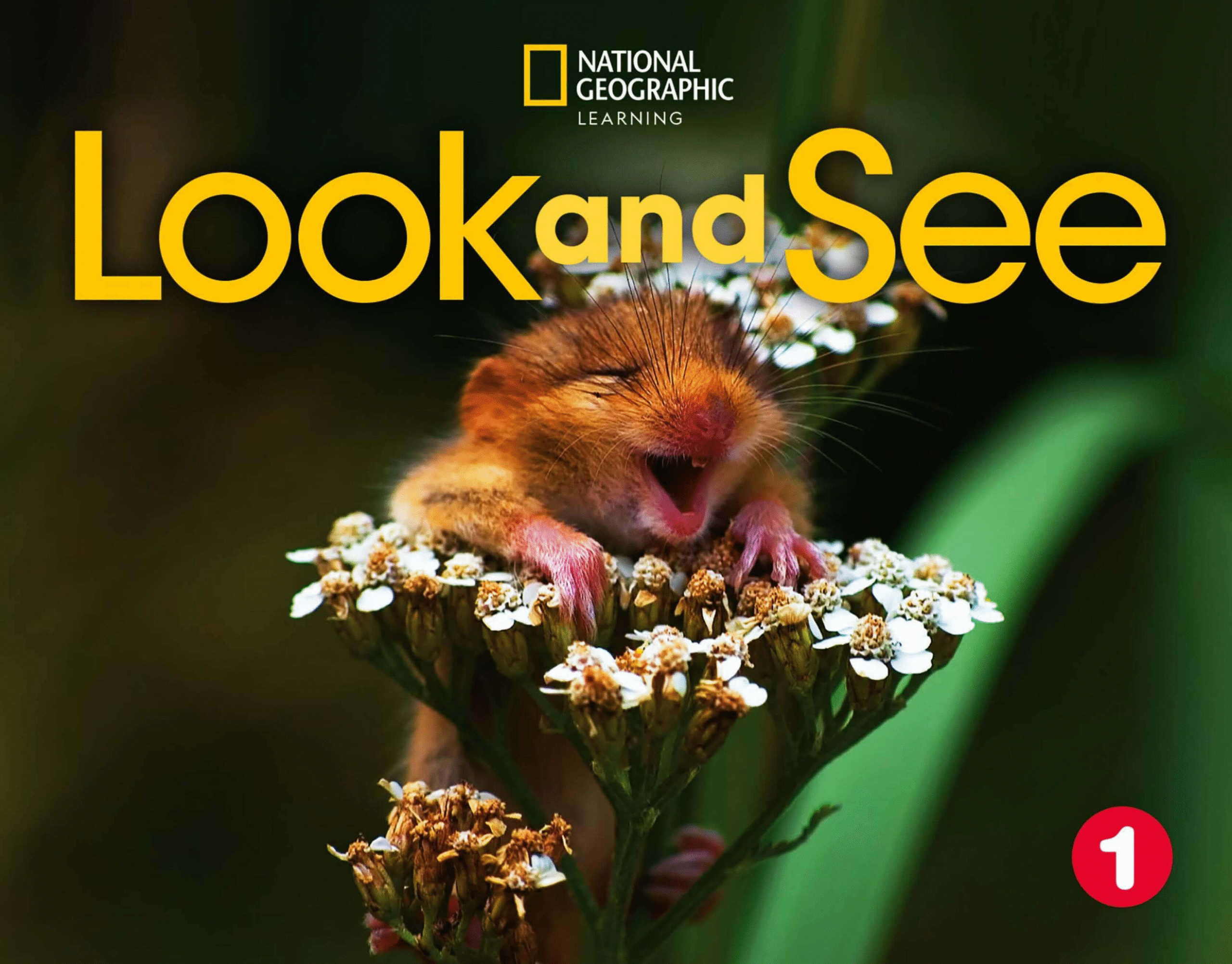 《Look and See Level 1》国家地理Look and See幼儿教材 第1级别